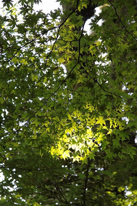 c0202860_2133616.jpg