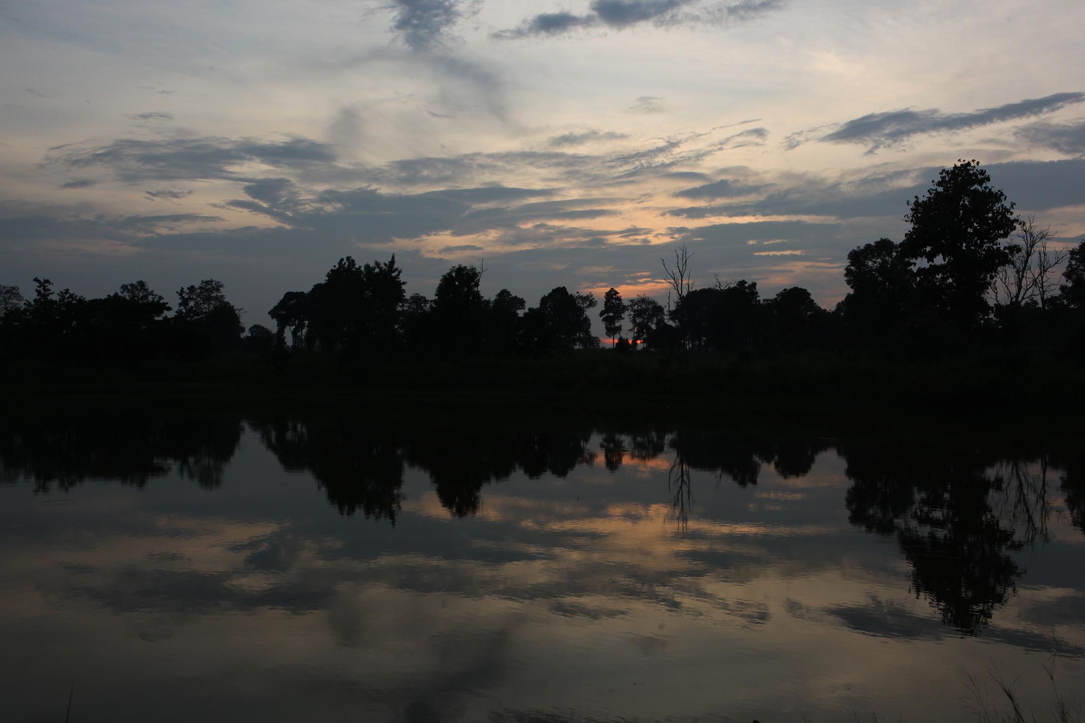 b0149365_50591.jpg