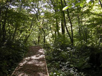 c0007266_22232777.jpg