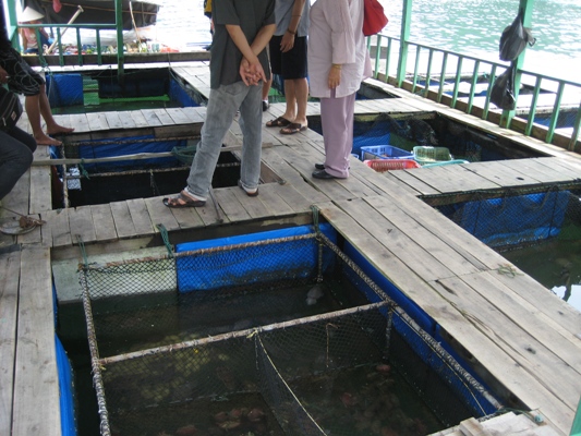 f0080168_2155010.jpg