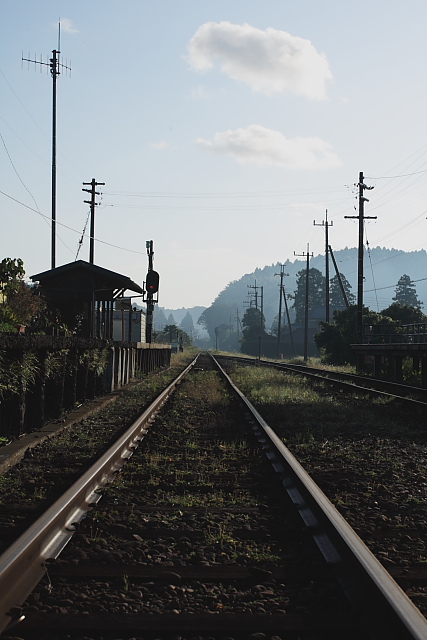 いすみ鉄道沿線　＃２_e0117969_208458.jpg