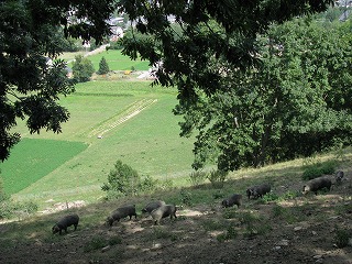 f0140171_24329.jpg