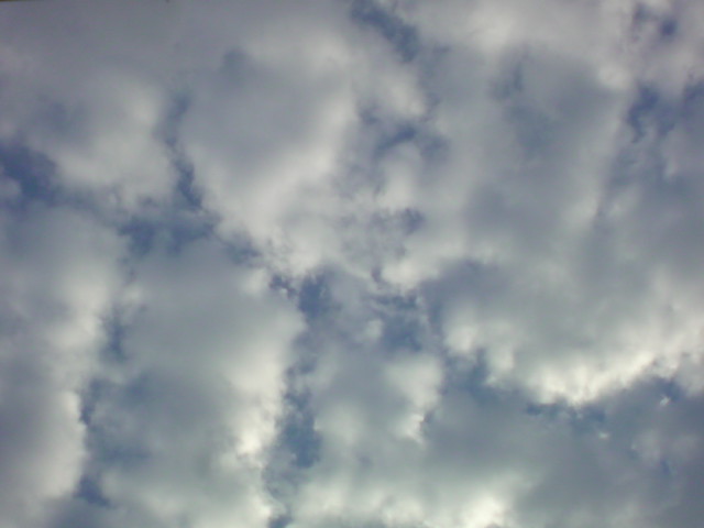 「秋空…羊雲？むら雲？！」_e0051174_6544593.jpg