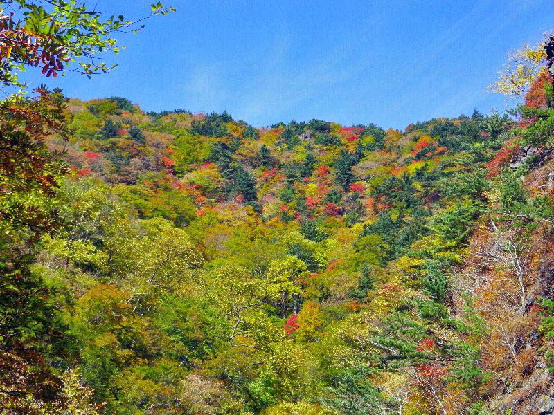 安達太良・湯川（紅葉の沢）～ ２００９年１０月１２日_f0170180_23431046.jpg