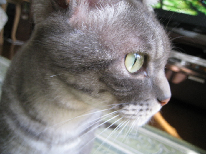 c0132387_0515241.jpg