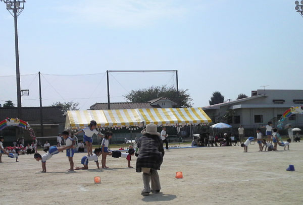 a0040593_852924.jpg