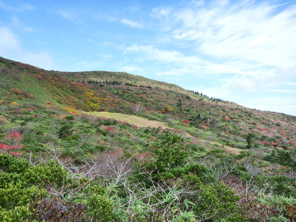 a0043193_135404.jpg