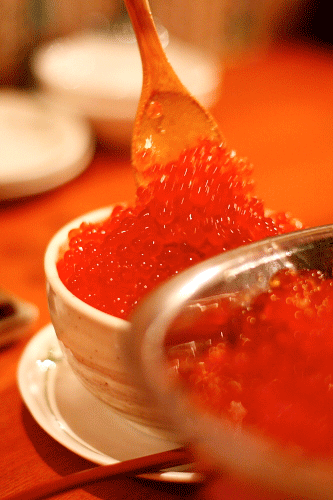 b0136396_22223592.gif