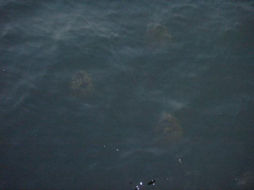e0147297_22531543.jpg