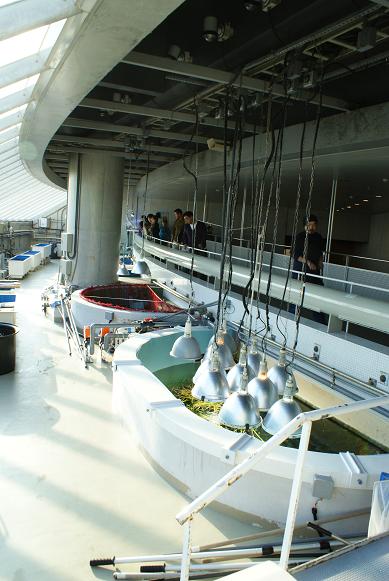 e0170698_8541238.jpg
