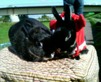 c0090899_07483.jpg
