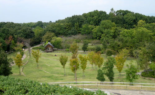 今日の馬見丘陵公園_e0046302_2111718.jpg