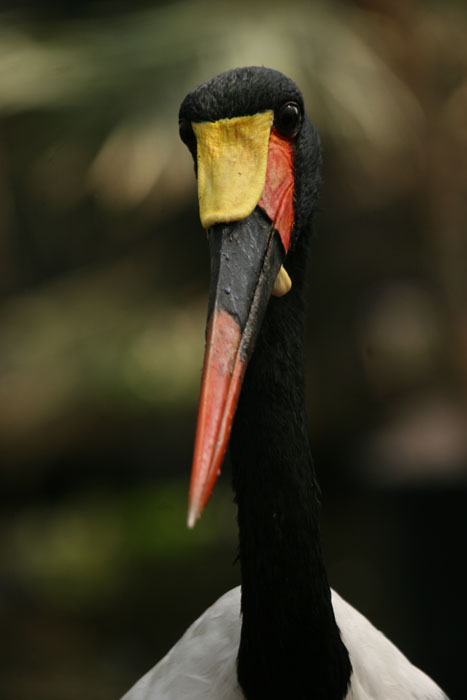 a0012103_753315.jpg