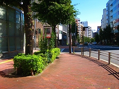 東京夢舞いマラソン_a0036808_01271.jpg