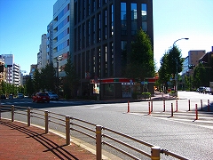 東京夢舞いマラソン_a0036808_014823.jpg