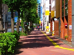 東京夢舞いマラソン_a0036808_023566.jpg
