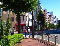 東京夢舞いマラソン_a0036808_025297.jpg