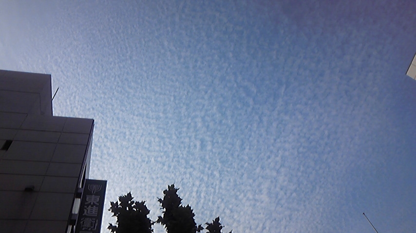c0181908_16465128.jpg