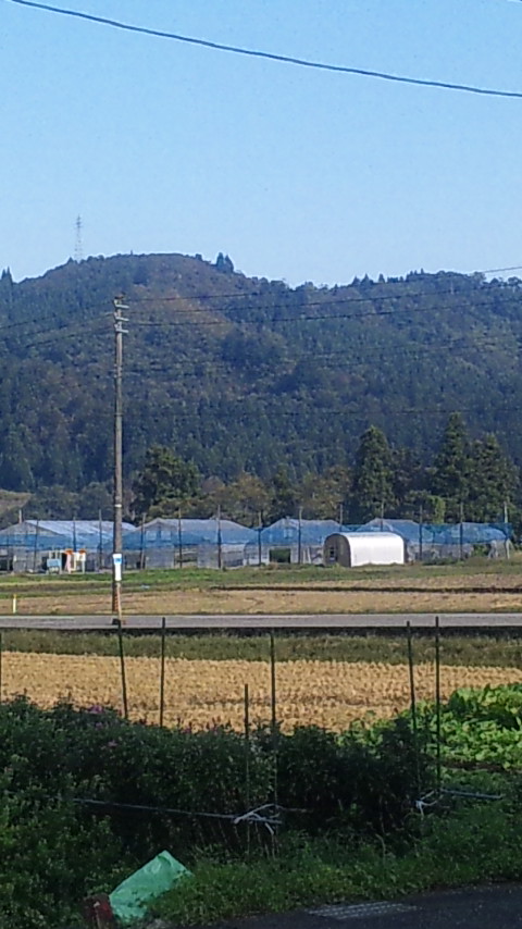 f0121909_8583678.jpg