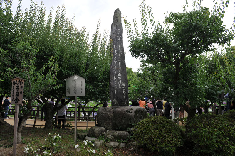 太宰府 万葉歌碑めぐり_a0042310_11461956.jpg