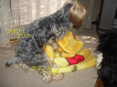 c0143711_19563255.gif