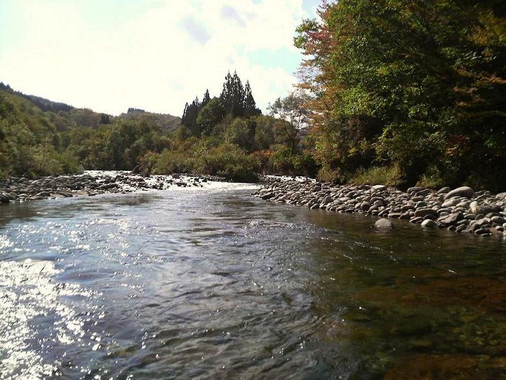 山形県渓流釣行_e0180017_19261239.jpg