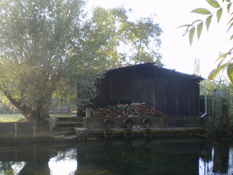 c0124619_216294.jpg
