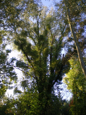 c0124619_2172443.jpg