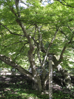 b0147224_2351814.jpg