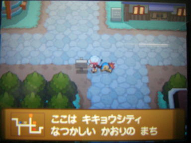 ポケモンの商標登録 次世代ゲーム機 ポケパークwiiピカチュウの大冒険 ポケモン映画 プレイ日記 つきねこの日記