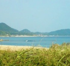 奄美大島☆今日の波情報！ とうとう・・・_c0160825_16512862.jpg