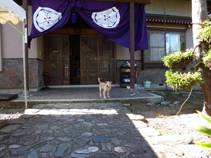 「迹王の餅(堂の餅)」という行事が今立にはあります(その1)_e0061225_816181.jpg