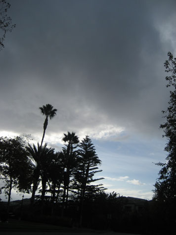 e0185225_9143822.jpg