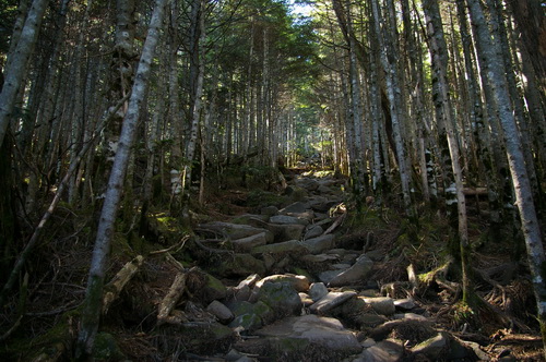 縞枯山登山_d0102327_21513165.jpg