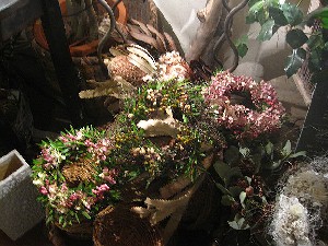 50越_c0102228_20115587.jpg