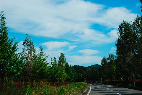 c0218528_86091.jpg