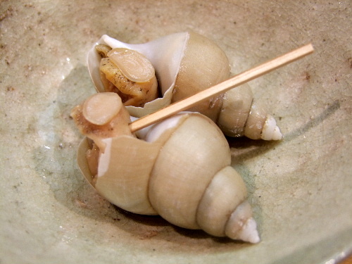 a0000029_11744.jpg