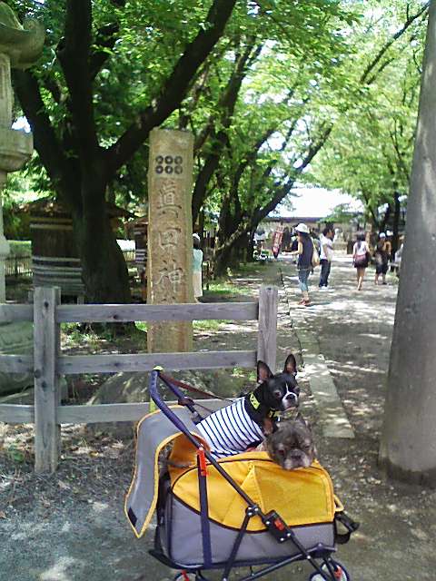 b0042230_2138519.jpg