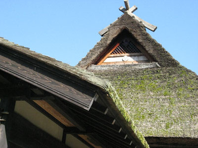 d0132439_13501461.jpg