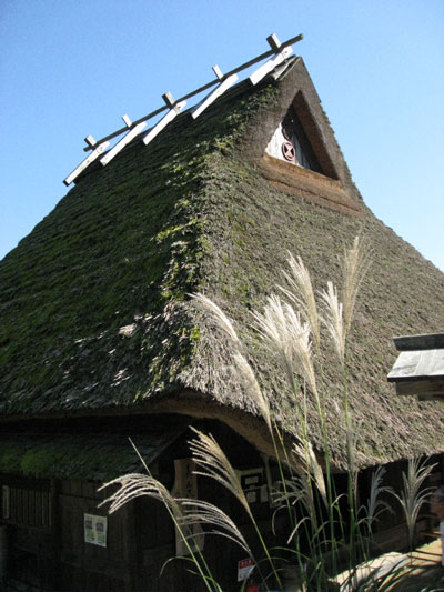 d0132439_13523114.jpg
