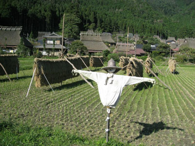d0132439_135741.jpg