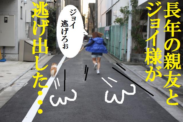 男子禁制 20代女子のお遊び 古川小百合の 女子的gameりあるボイス オフィシャルブログ 男子禁制 20代女子のお遊び 古川小百合の 女子的gameりあるボイス オフィシャルブログ