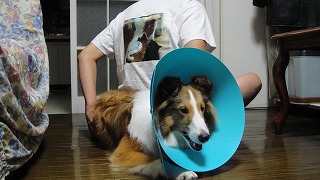 チュ♪なTシャツ_e0195743_253530.jpg