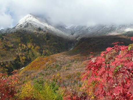 秋の立山黒部アルペンルート 前編_c0057946_19163756.jpg