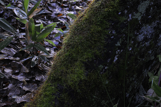 c0093046_6255948.gif
