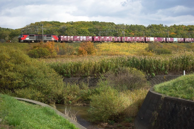 鉄道の日に　　　秋の北斗星と貨物列車_b0133447_14112745.jpg