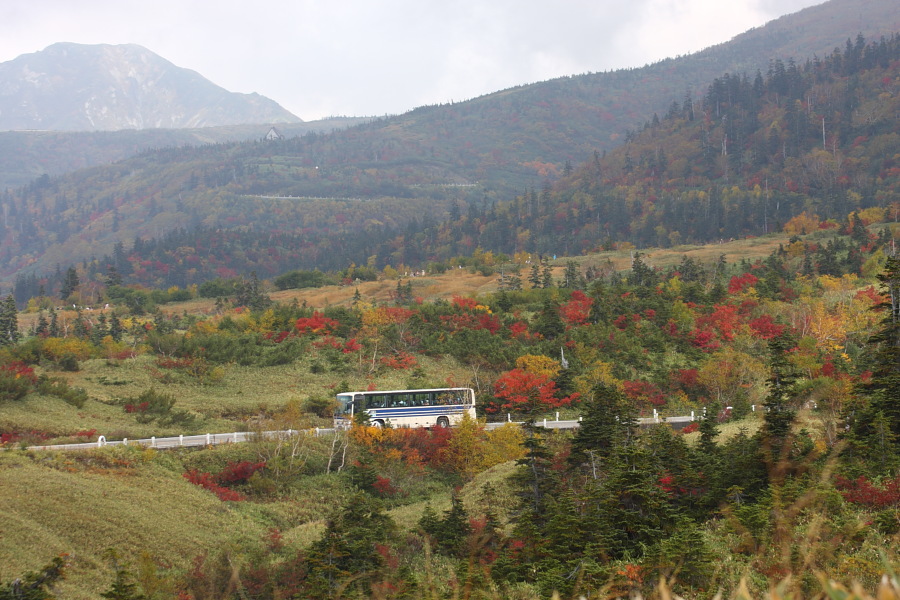 称名滝、八郎坂～弥陀ヶ原　（地図追加）_b0157849_17481198.jpg