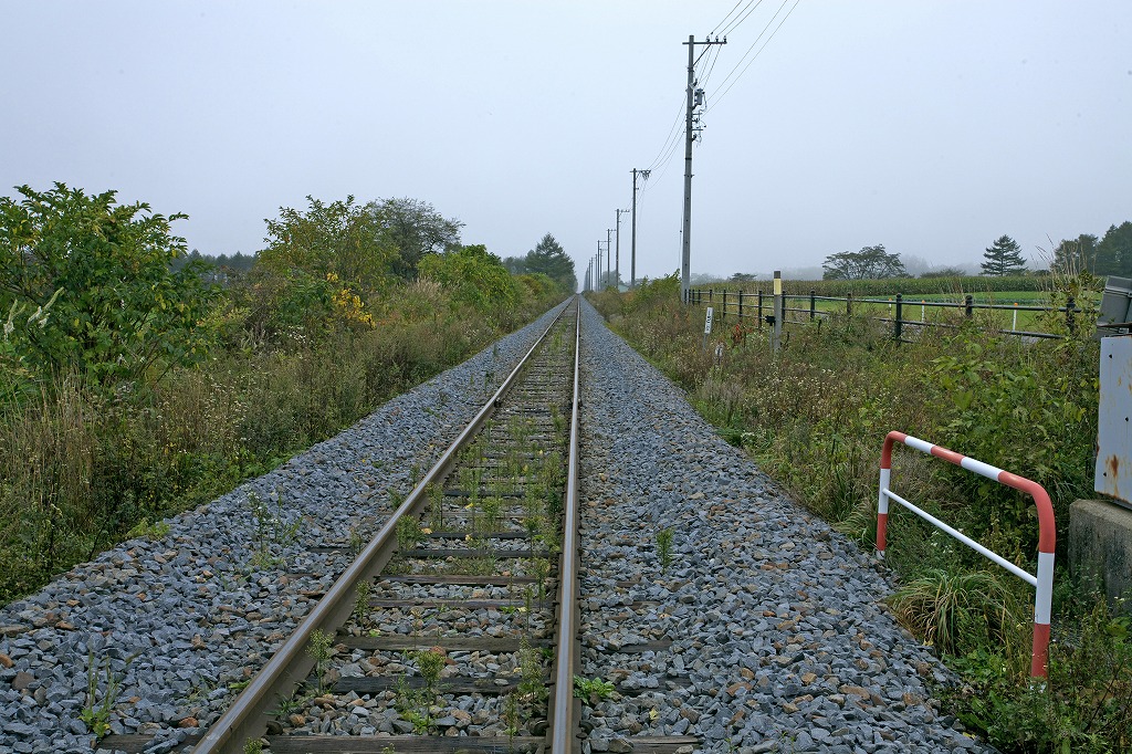 e0163149_17562631.jpg