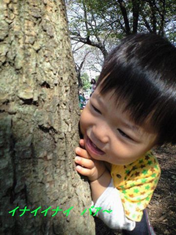 f0002750_7451666.jpg