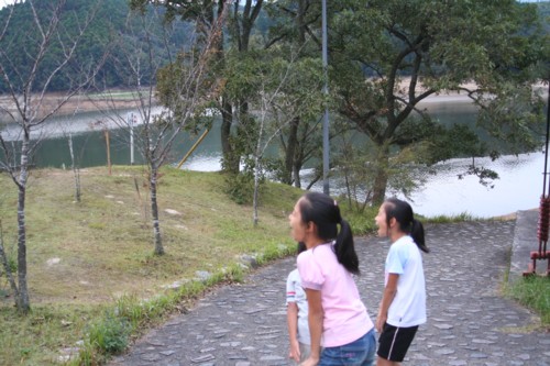 家族で紅葉狩りｉｎ三瀬、北山ダム_d0082356_1015287.jpg